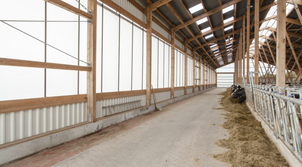 Borchers Bau Grüßing Boxenlaufstall Uplengen Foto Scheiwe Fotostudio Scheiwe (Mittel)