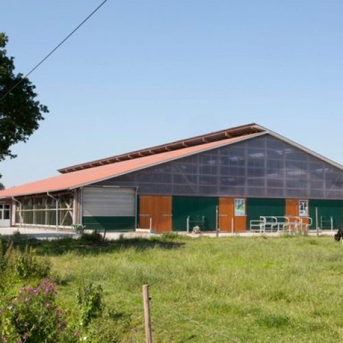 Hofgebäude mit Rinderweiden